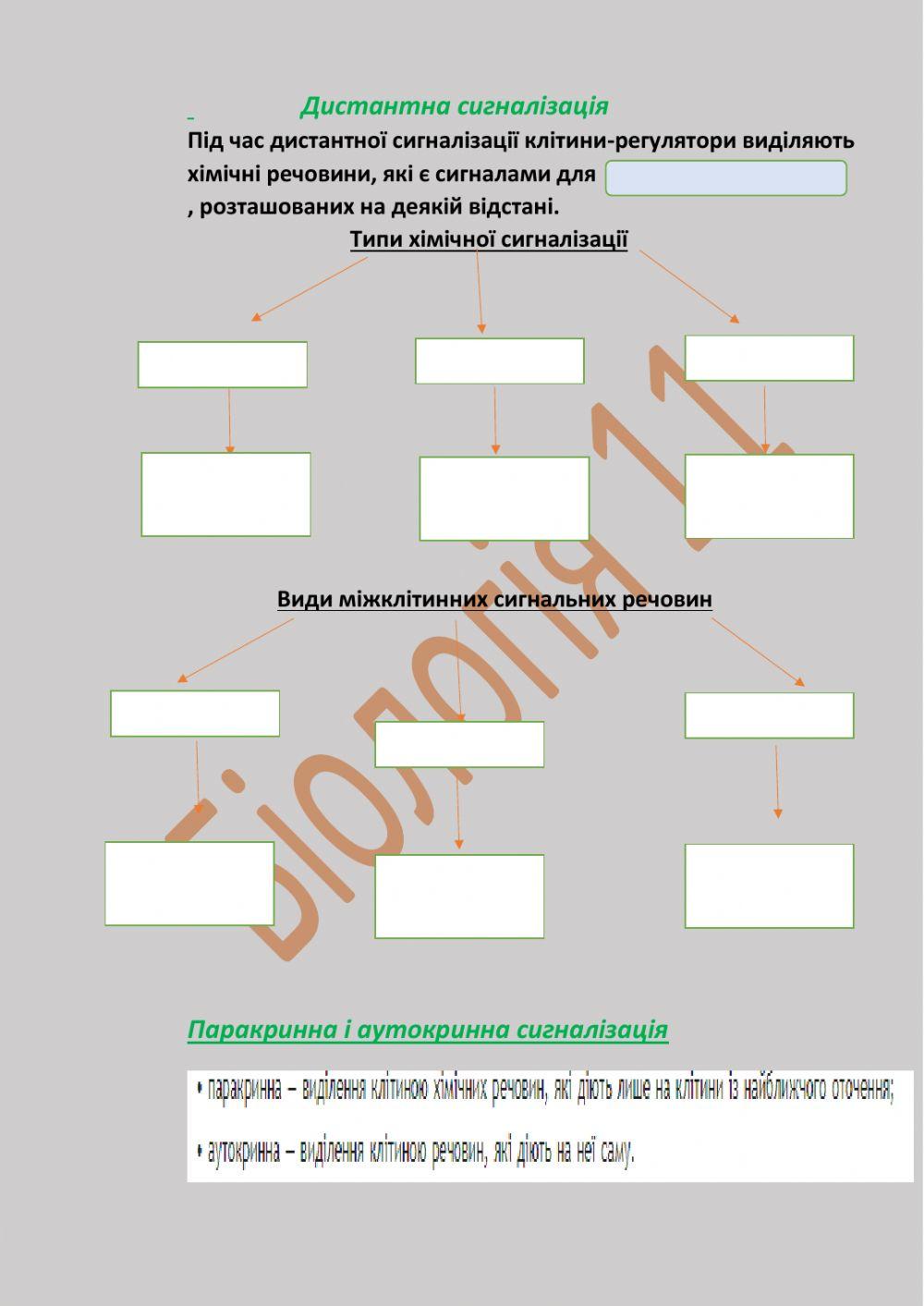 Саморегуляція на тканинному рівні