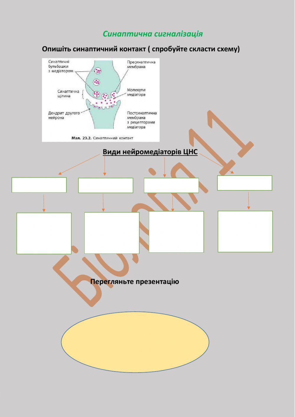 Саморегуляція на тканинному рівні