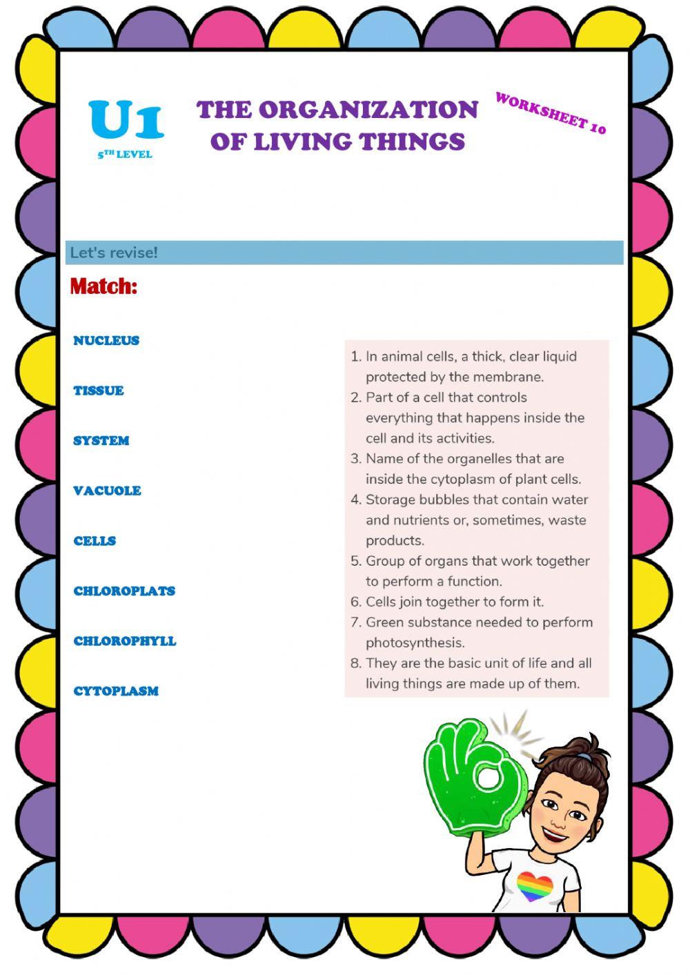 Organization of linving things 10