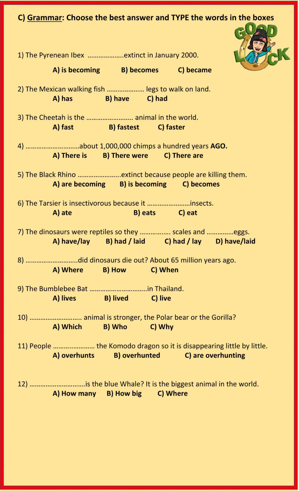 Written Assignment UNIT 5 Worksheet Live Worksheets assignment-writing