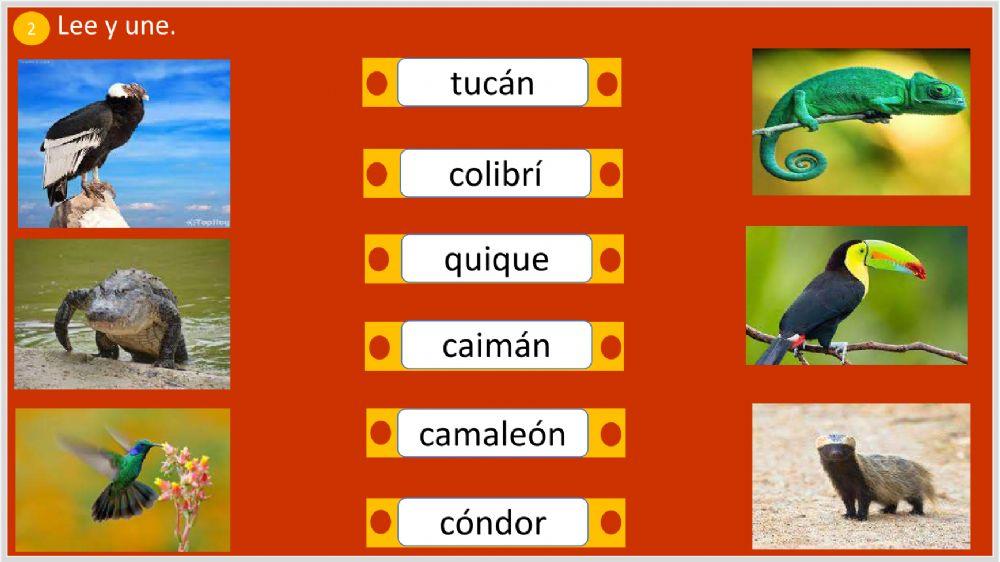 Actividades de Lenguaje n9