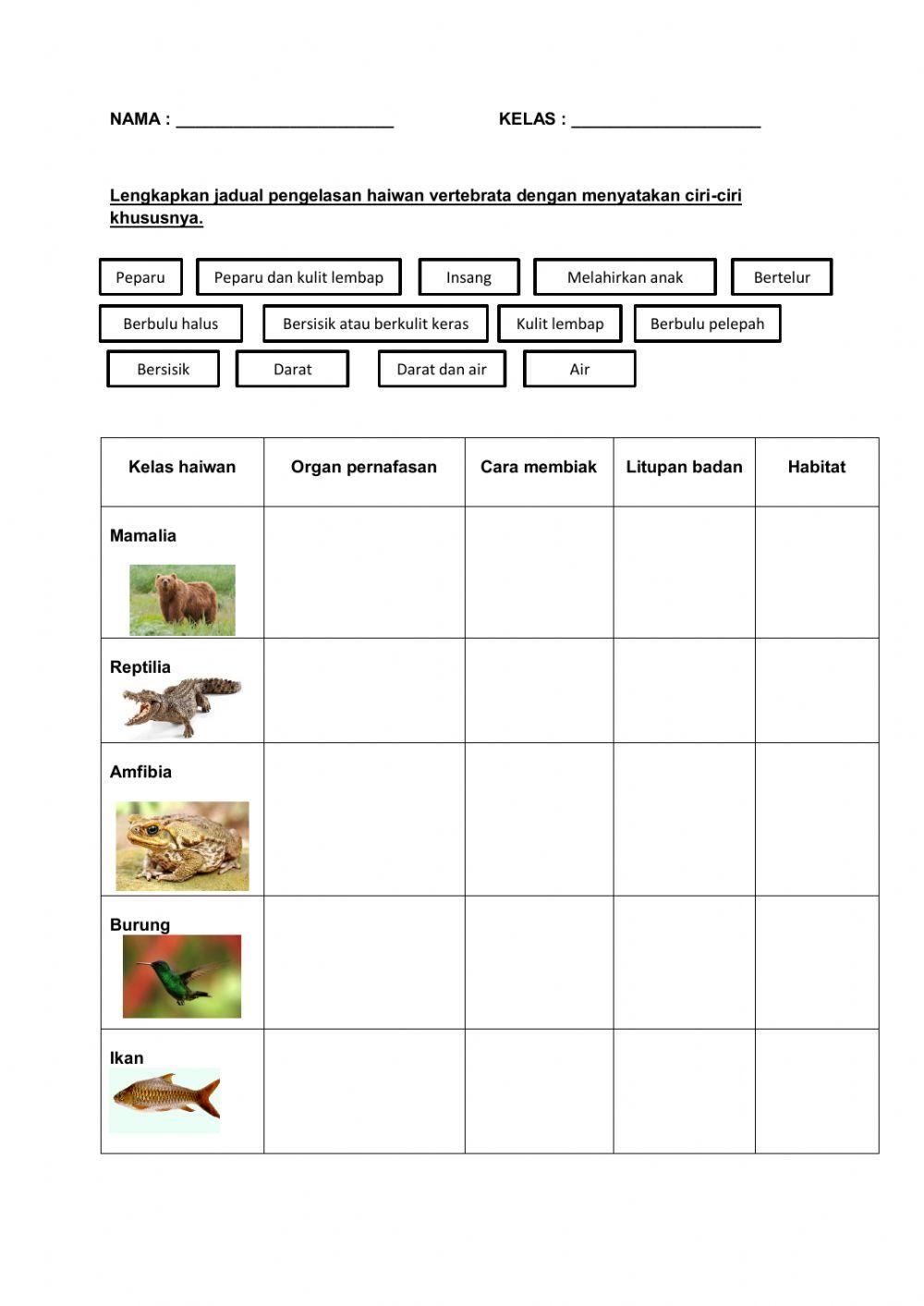 Ciri ciri khusus haiwan vertebrata