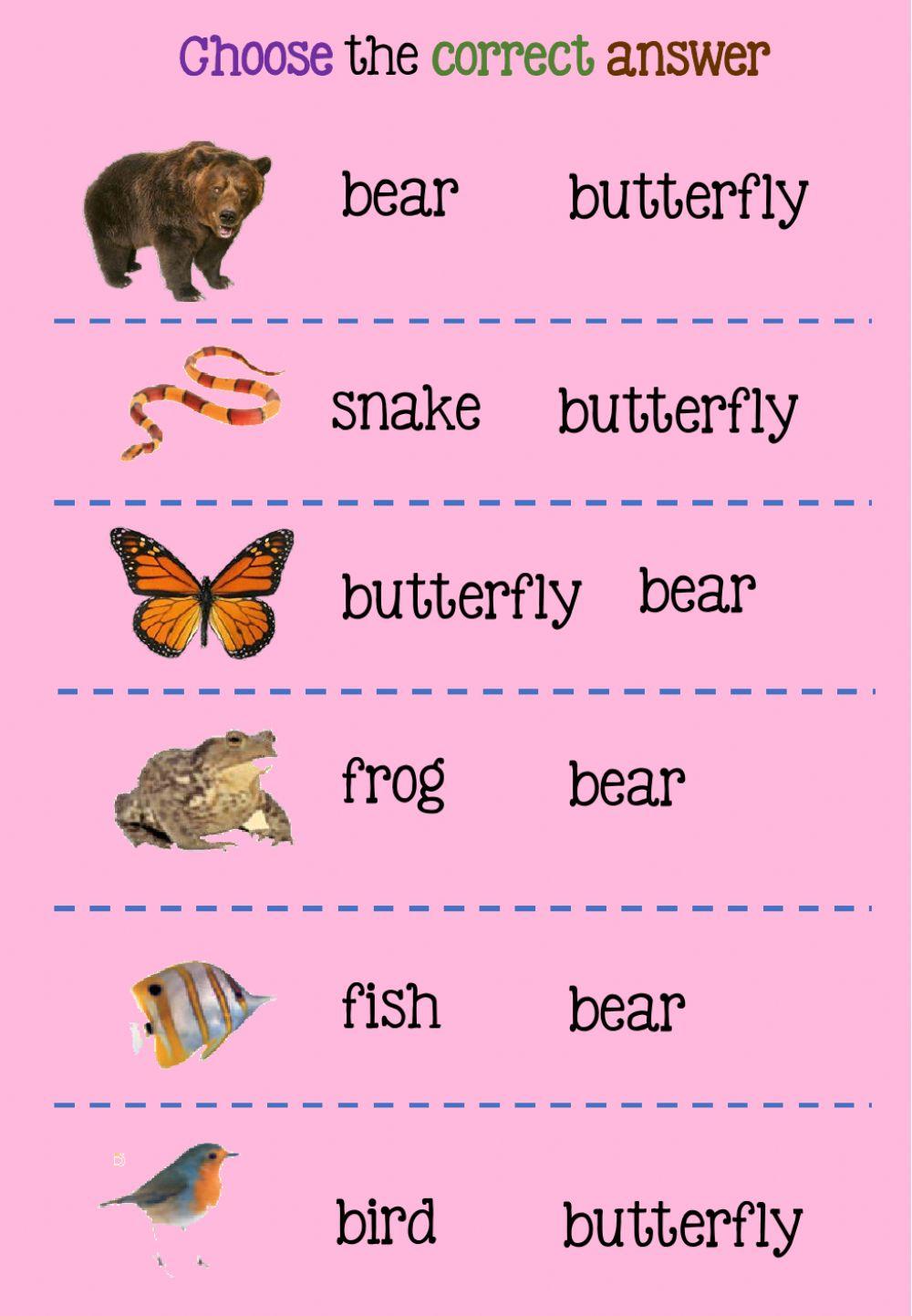 Choose the correct answer