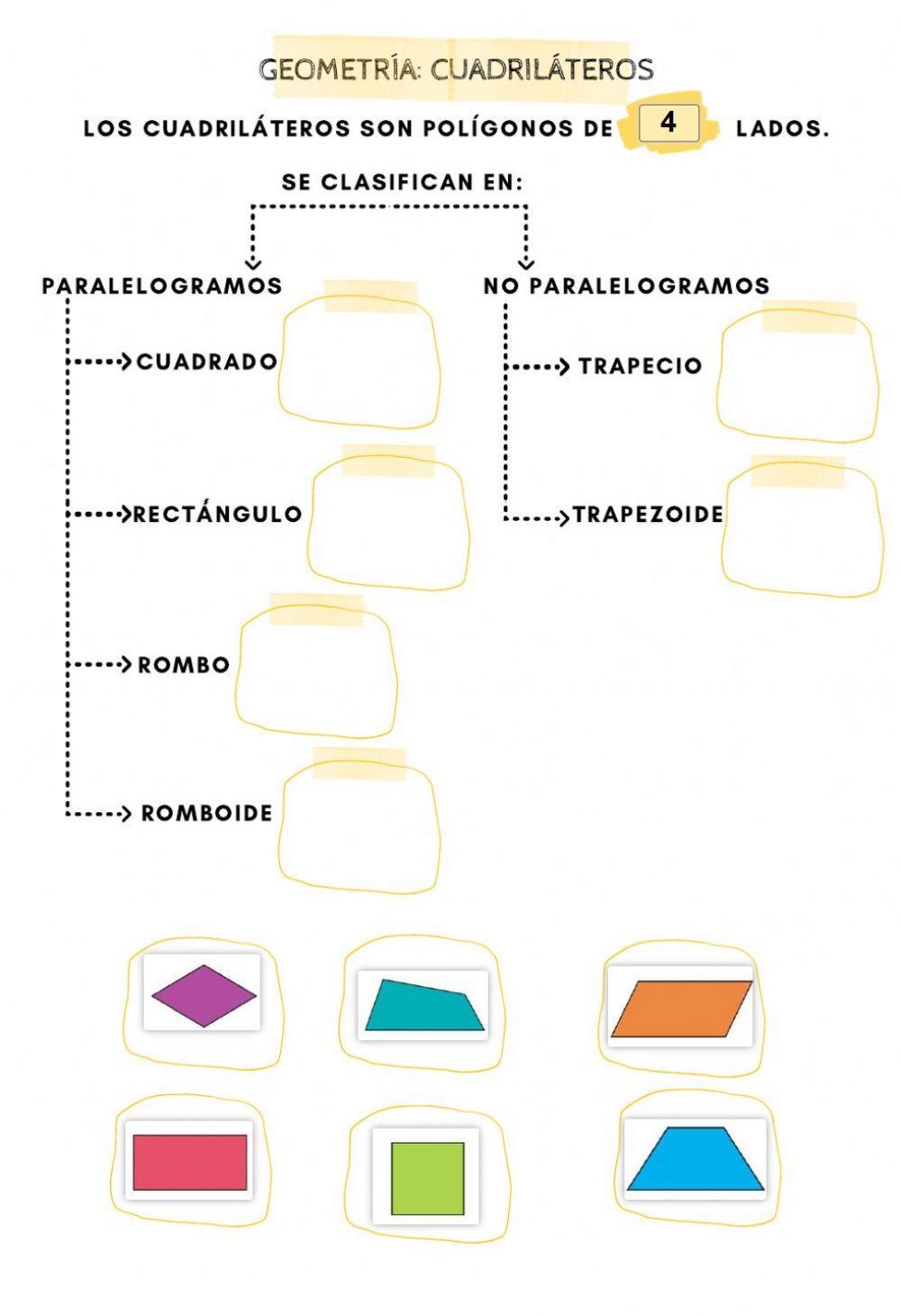 Cuadriláteros: parte 1