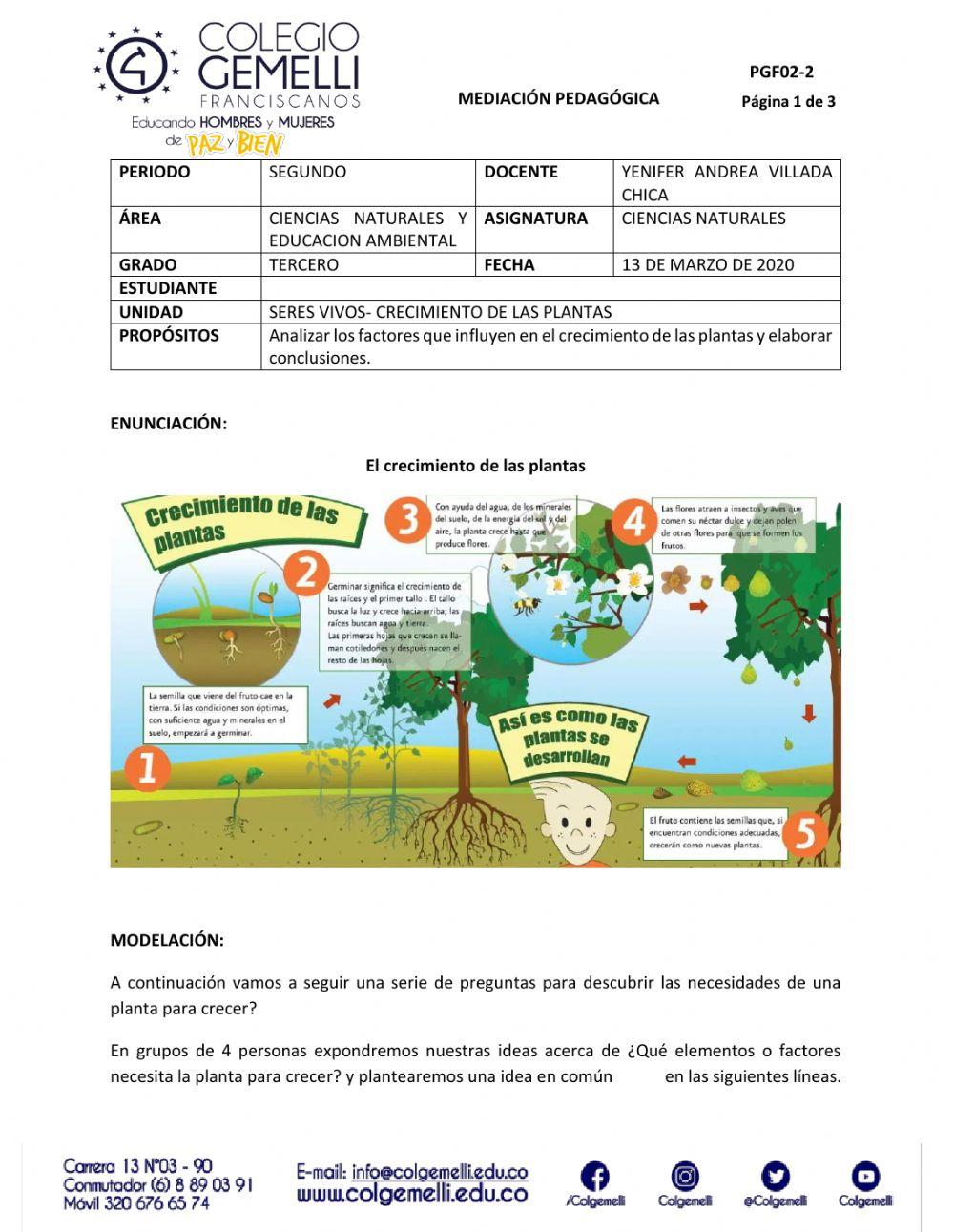 ¿Qué factores influyen en el crecimiento de las plantas?