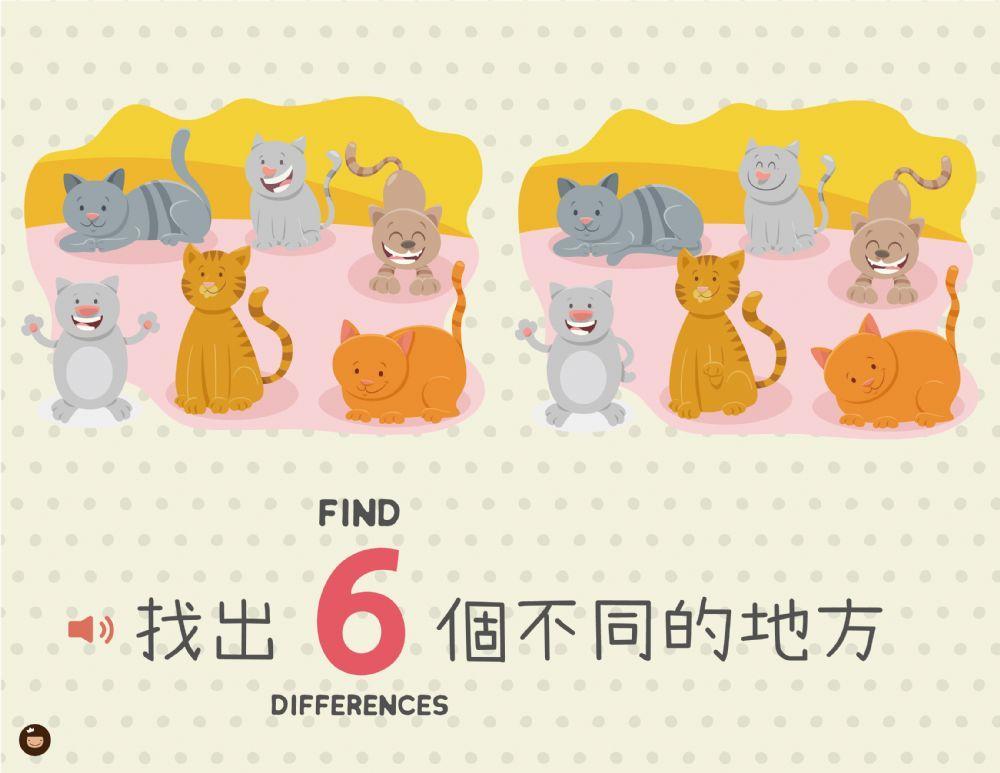 中文遊戲－找不同 貓咪