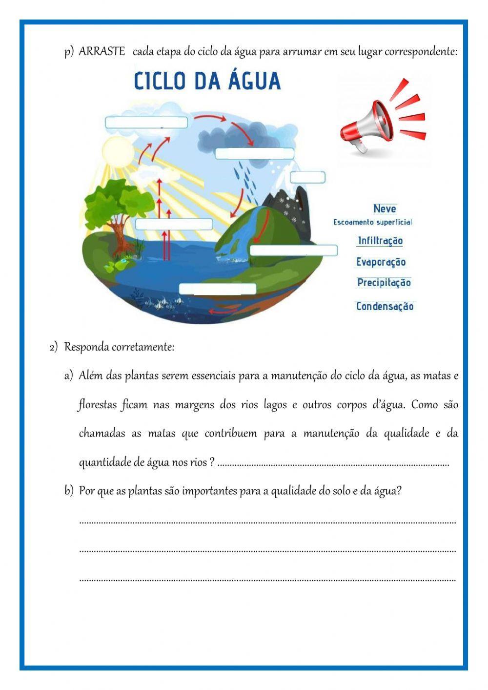 Revisão de ciencias 2 b