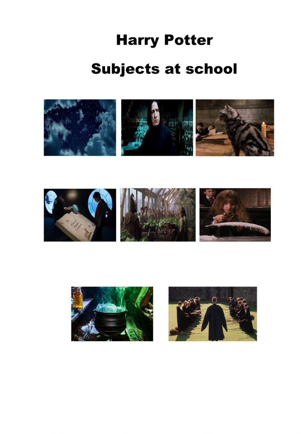 Harry Potter subjects