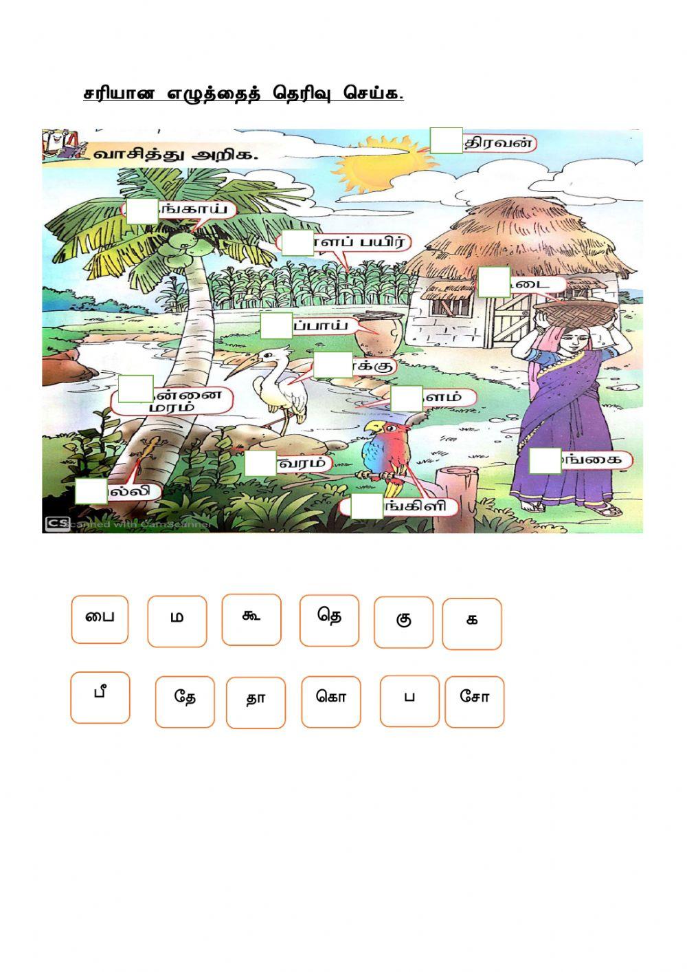 குற்றெழுத்து நெட்டெழுத்து