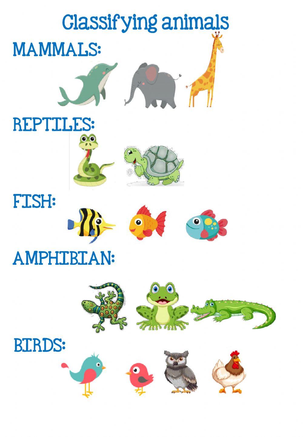 Classifying animals