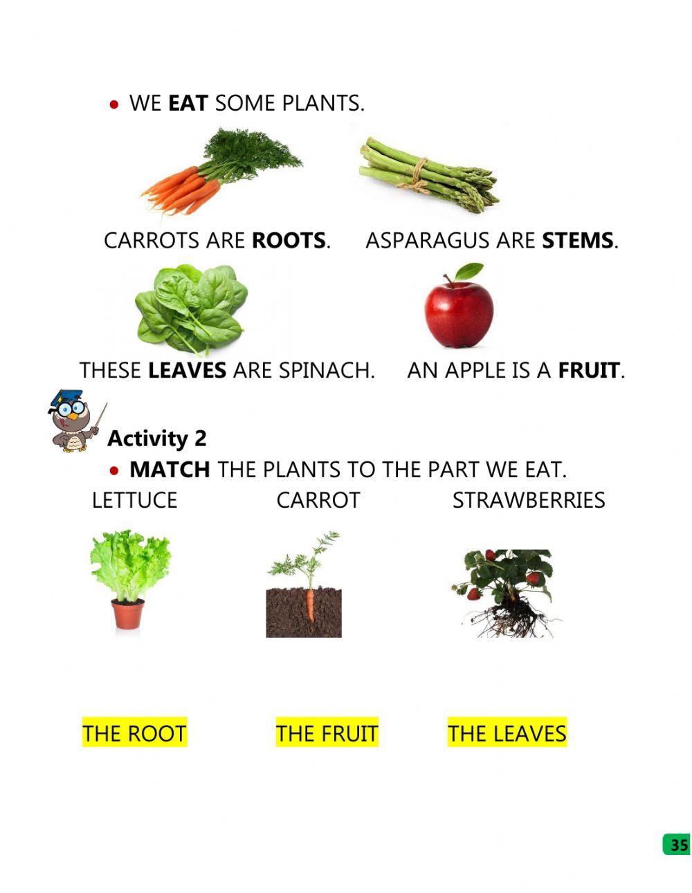 The Parts of plants