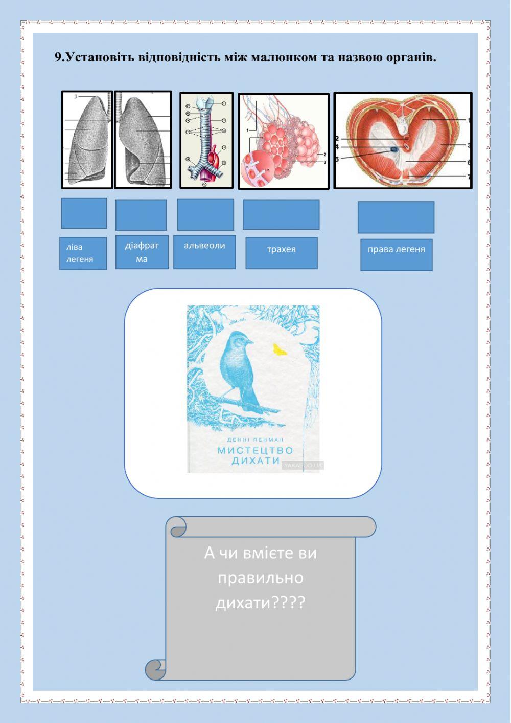 Біологія. 8 клас. Органи дихання