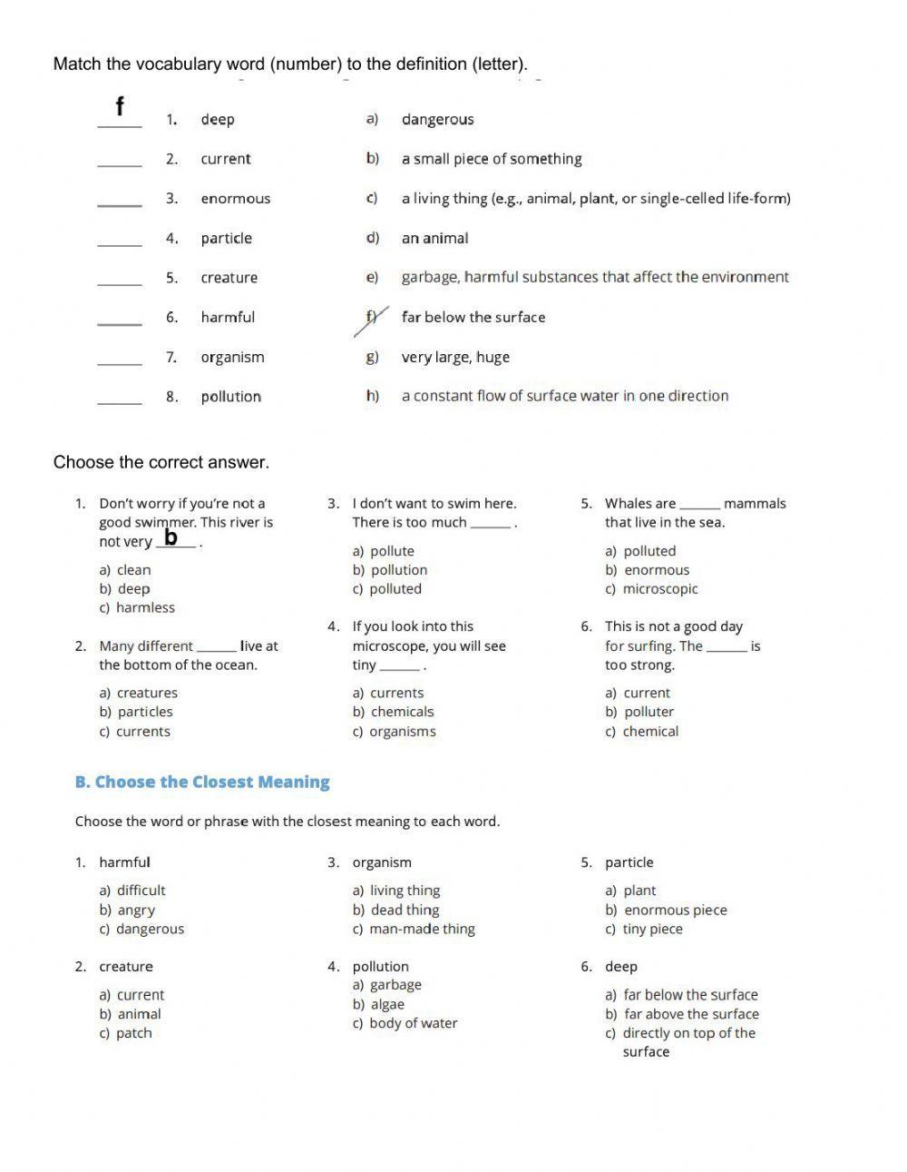 Ocean Garbage - Vocabulary Follow-Up