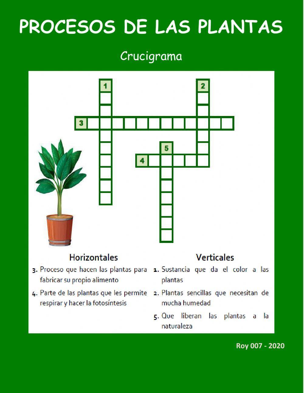 Las plantas y sus procesos