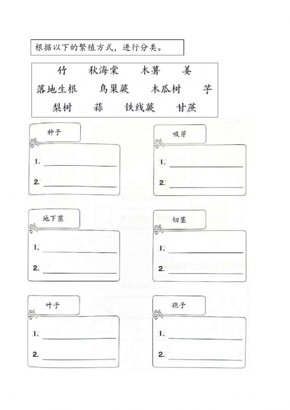 植物的繁殖方法