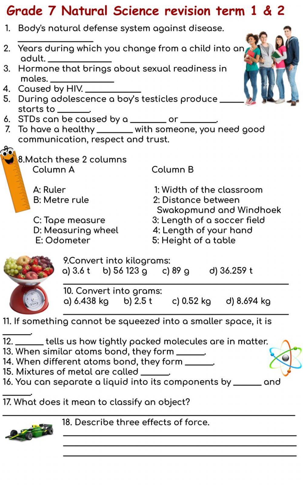 Grade 7 revision term 1 2 activity live worksheets