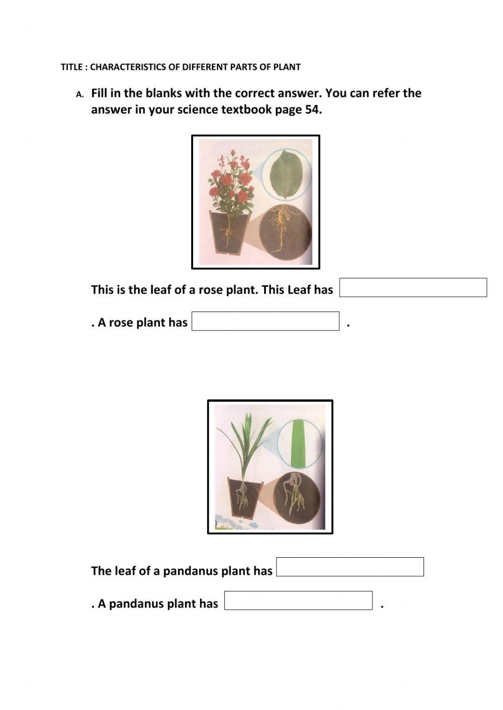 Characteristics Of Different Parts Of Plants