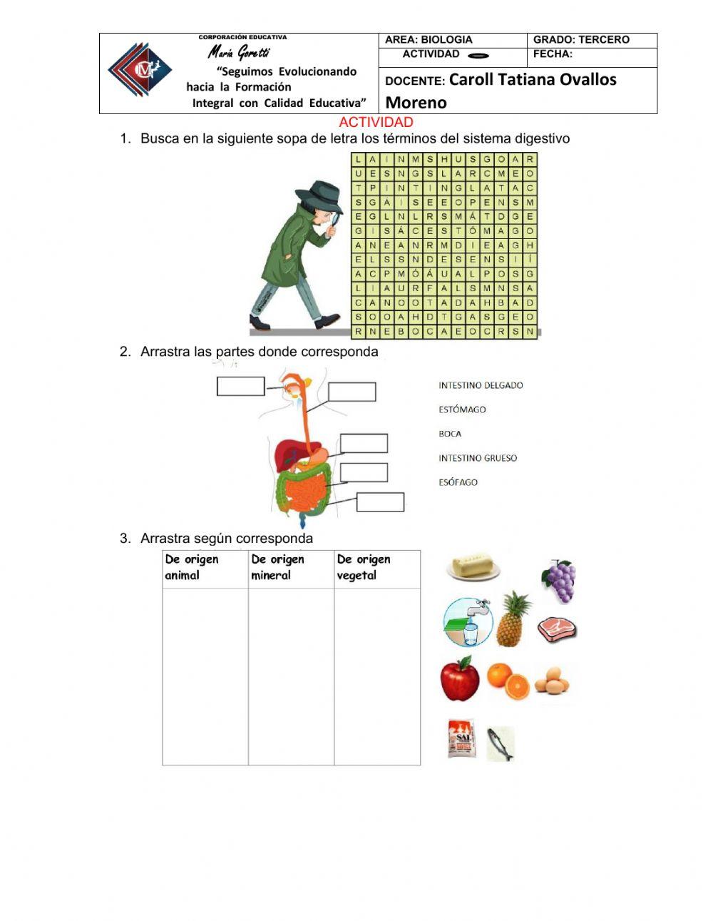 Función de nutrición