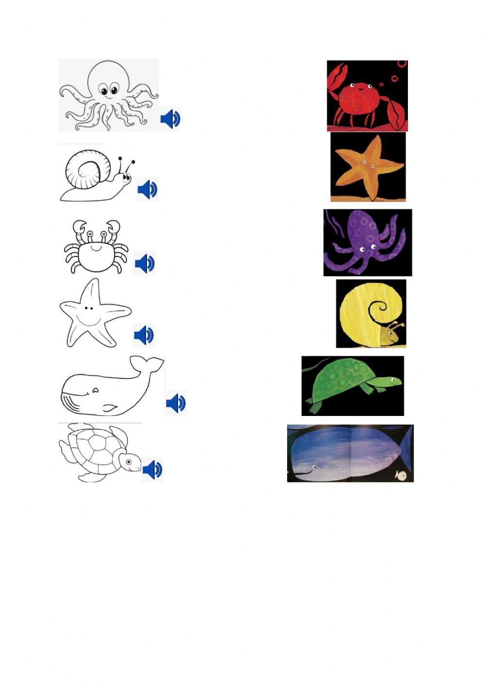 The little white fish animals