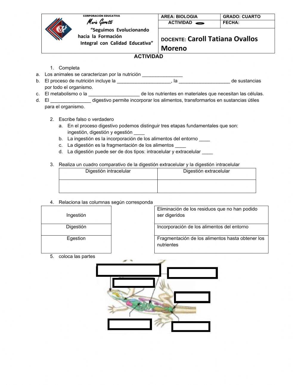 Nutrición en animales