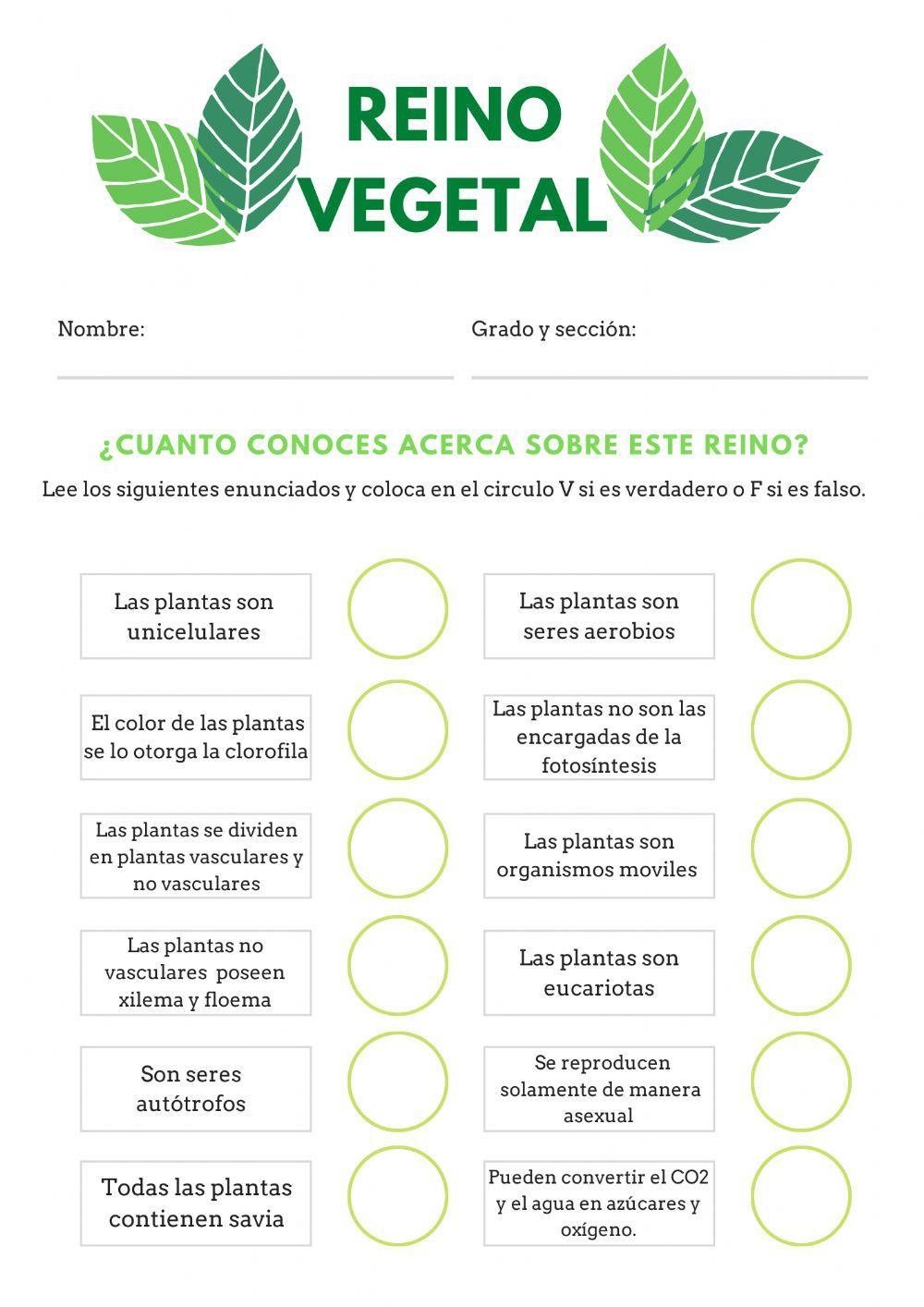 Reino Vegetal