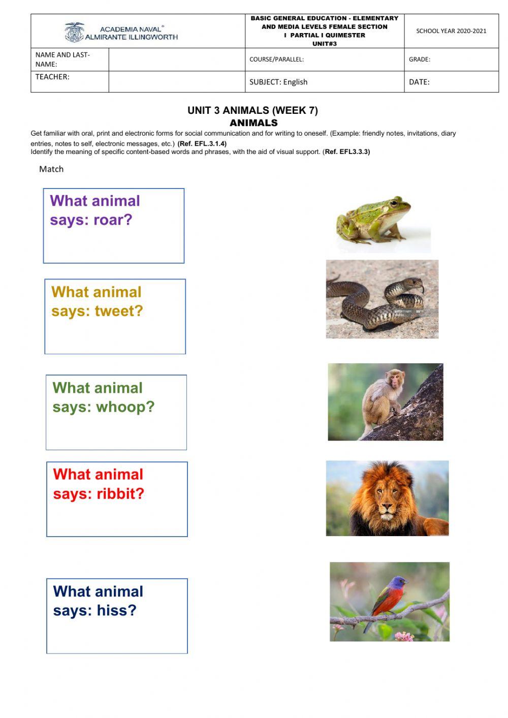 What animal says...?
