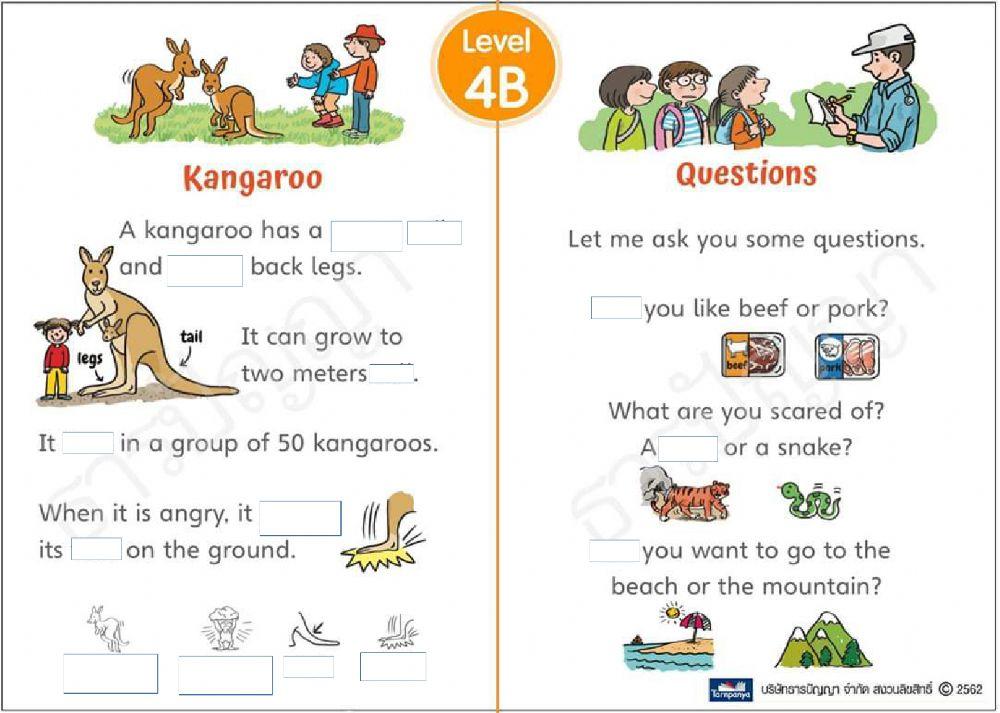 4 B Kangaroo