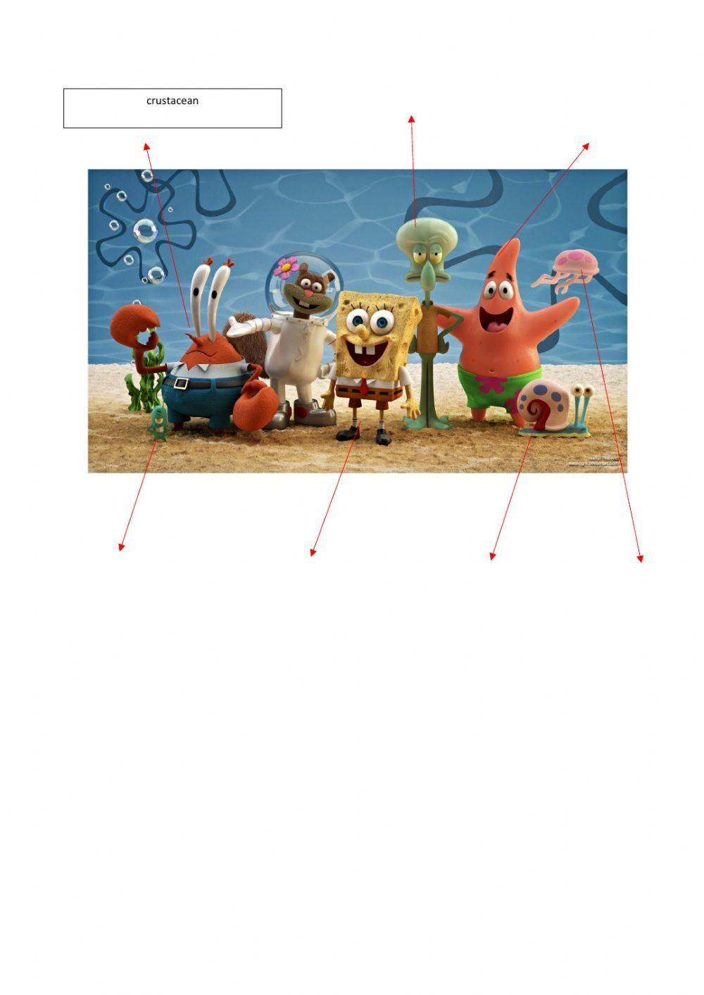 Invertebrate animals