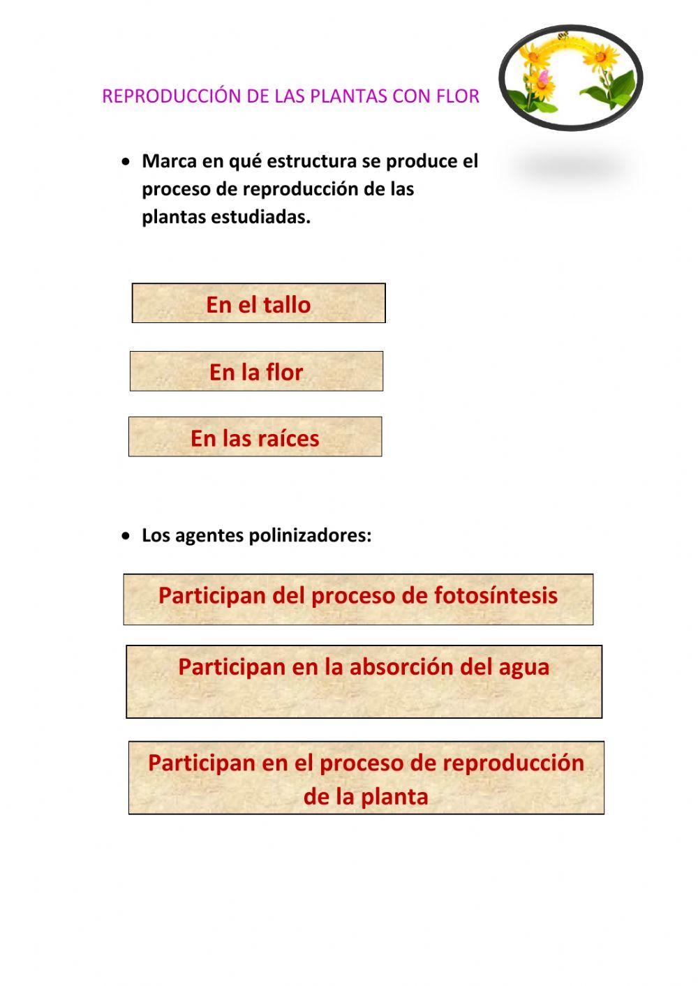 Reproducción de las plantas con flor