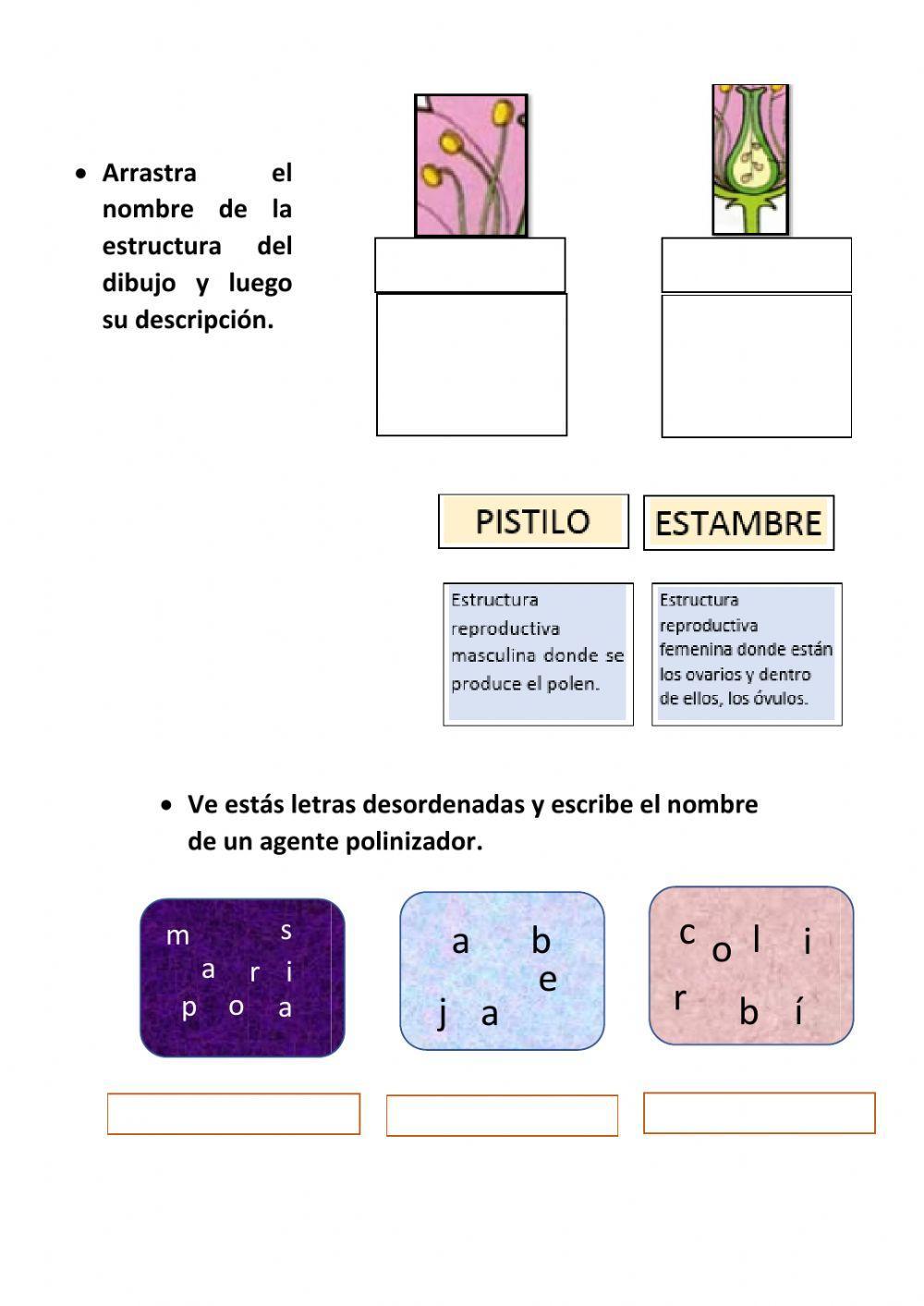 Reproducción de las plantas con flor