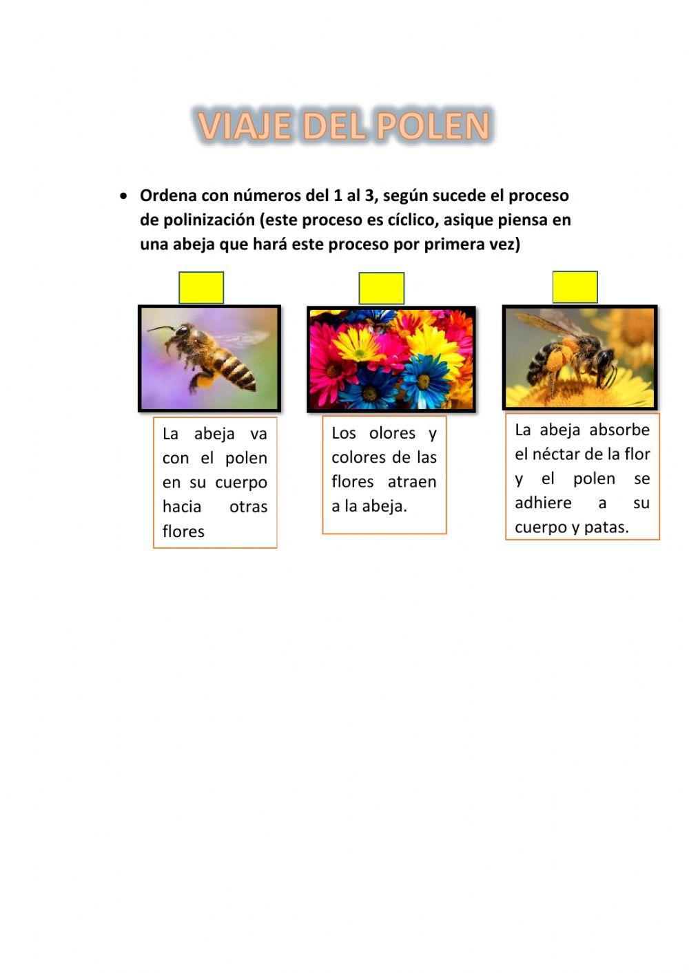 Reproducción de las plantas con flor