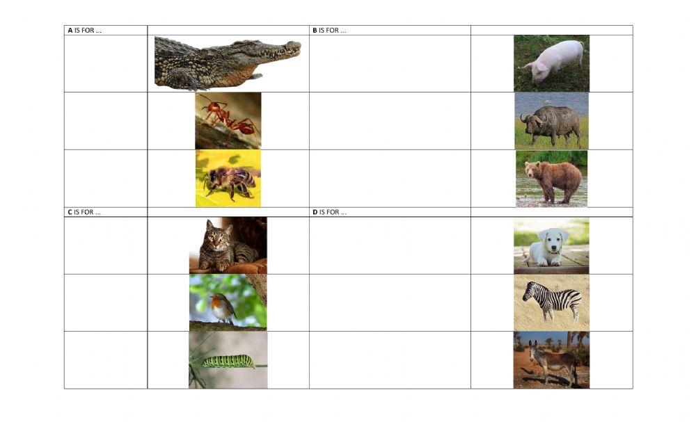 A to Z animals - part 1