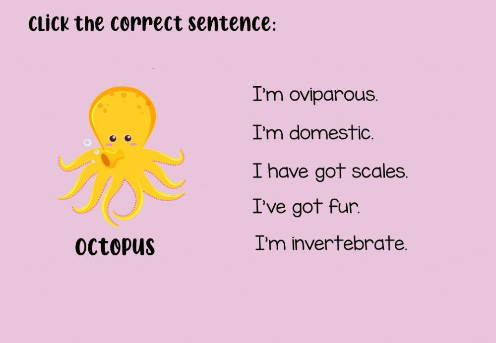 Characteristics of the animals