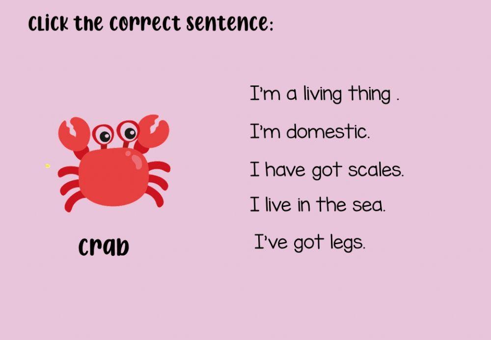 Animals characteristics