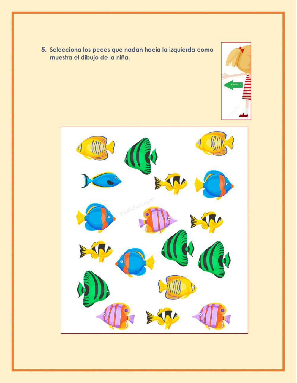 Nociones espacial: derecha e izquierda