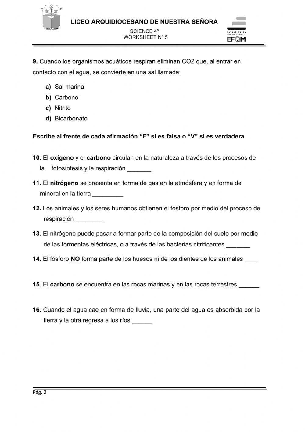 Ciclos biogeoquímicos