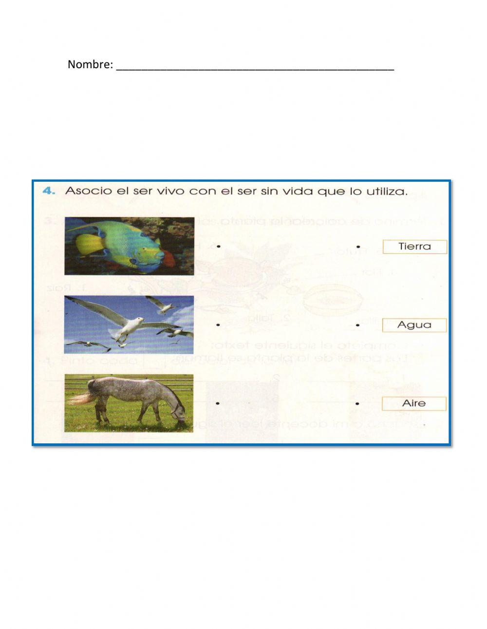 Seres vivos e inertes