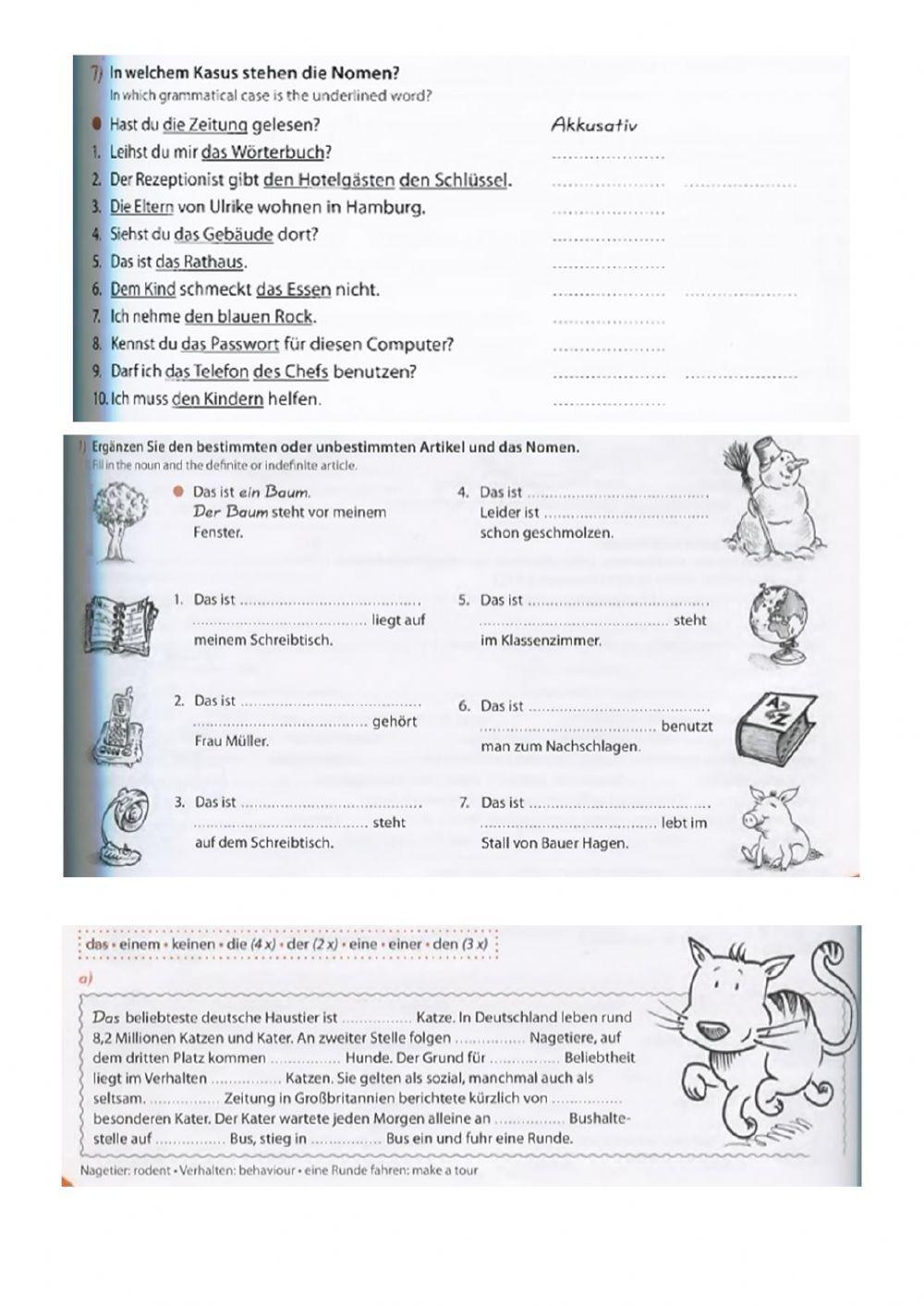 Deklination der Artikel