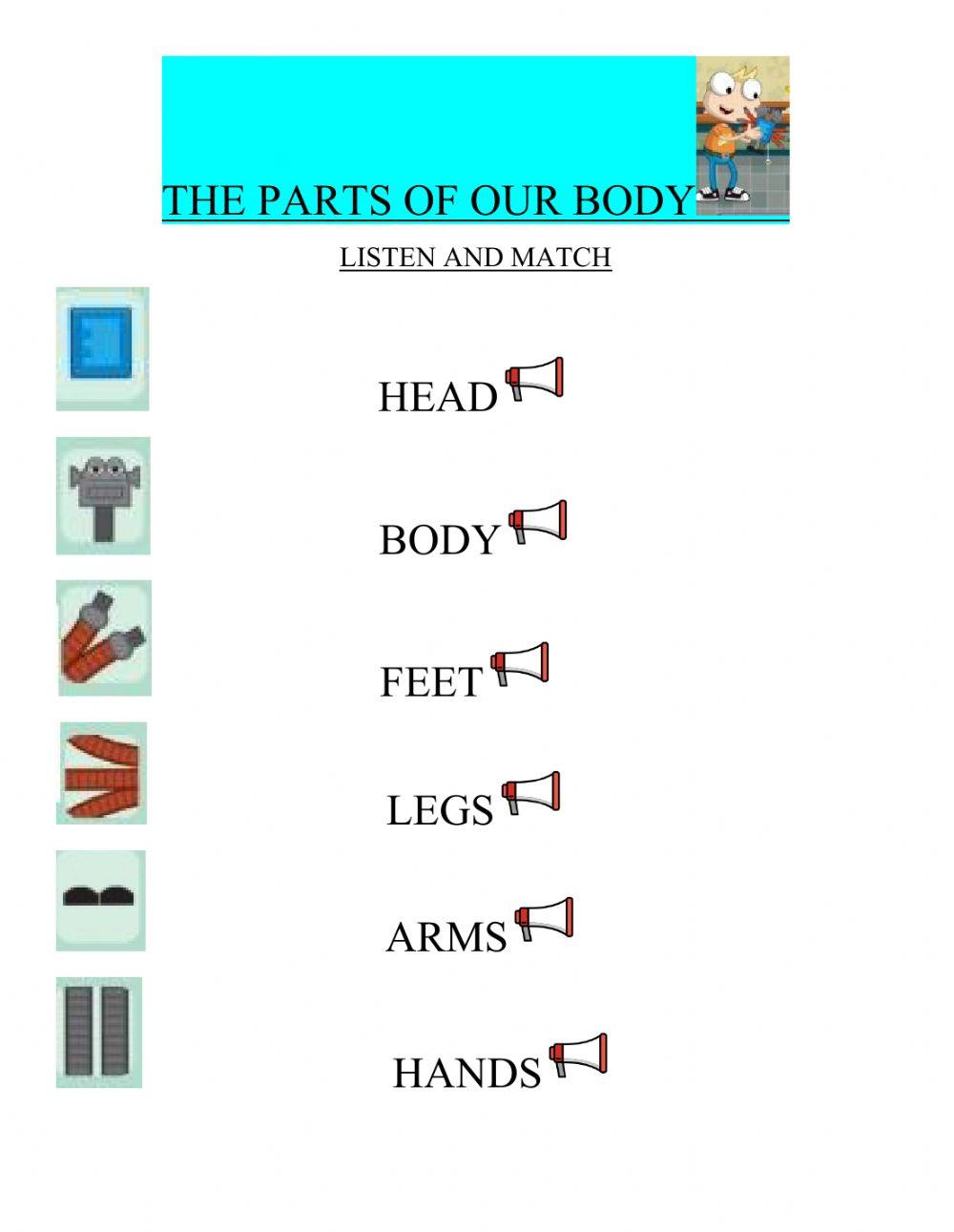 Robot's parts of the body
