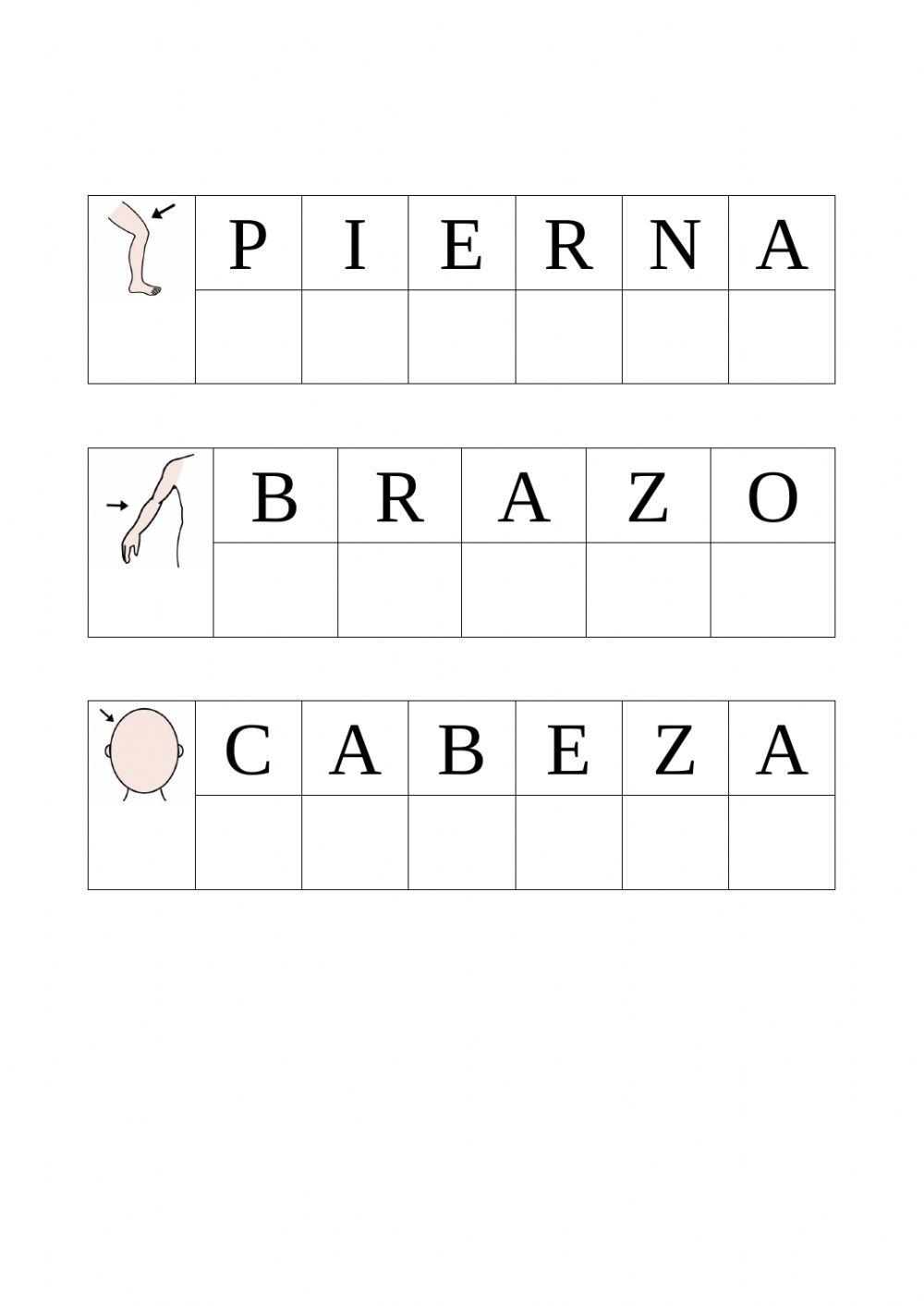 Ficha lectura global cuerpo