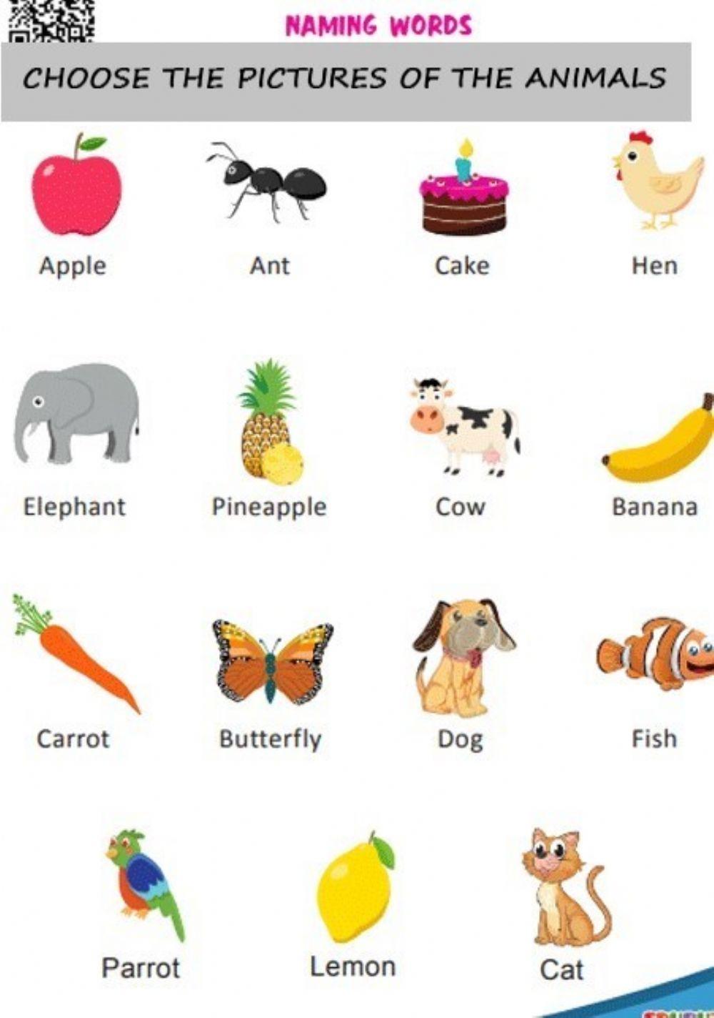 Naming Words - Nouns