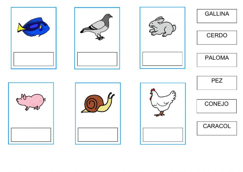 Categorías semánticas