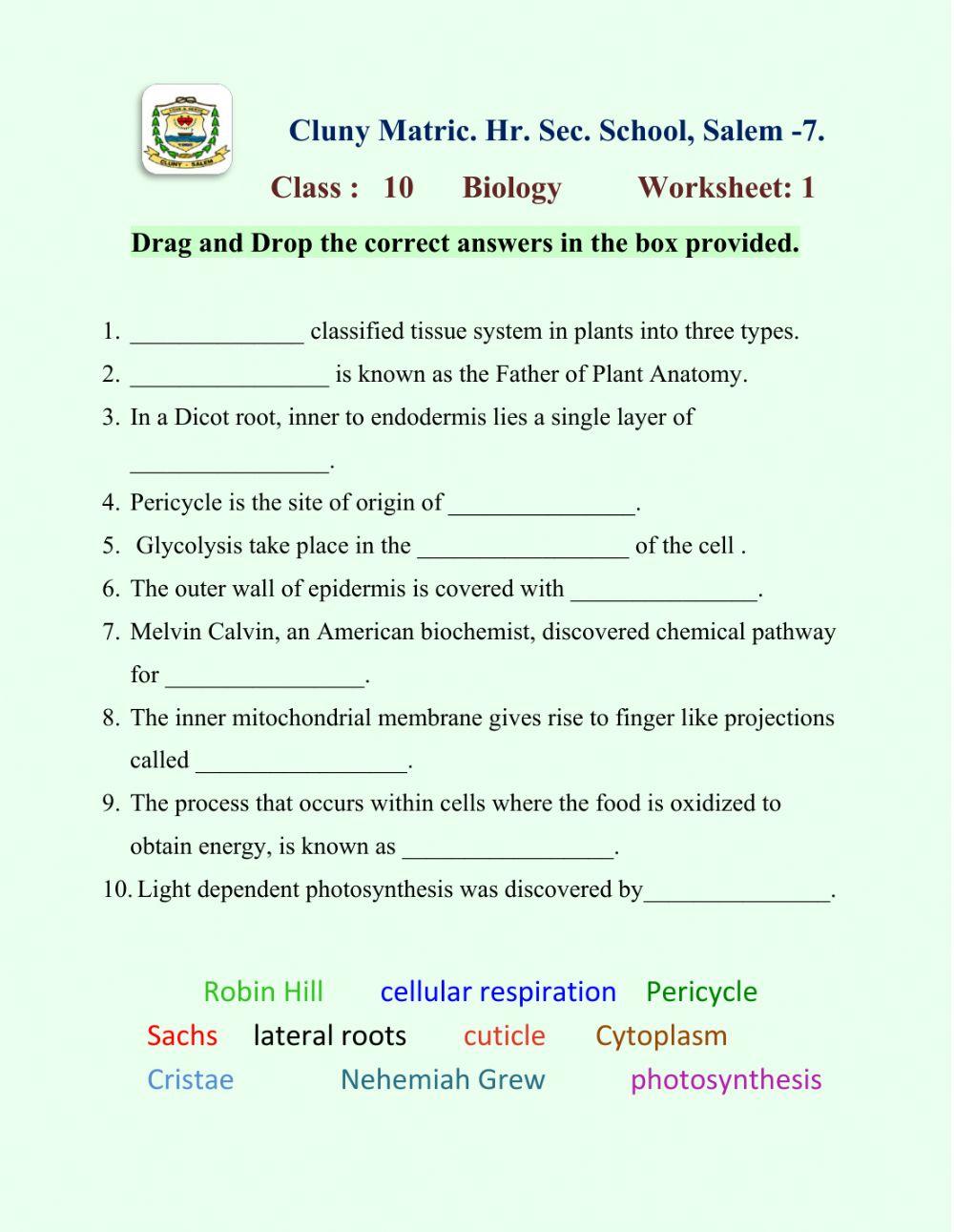Class 10 Biology 1