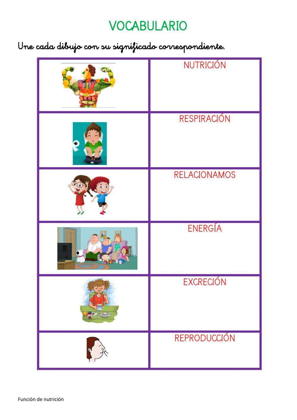 Proceso función de nutrición