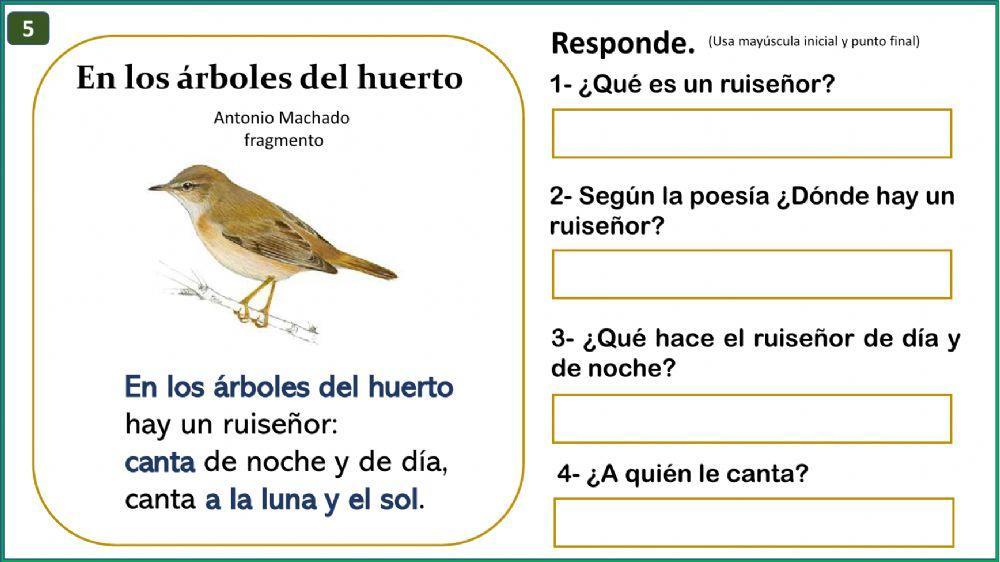 Actividades de Lenguaje n10