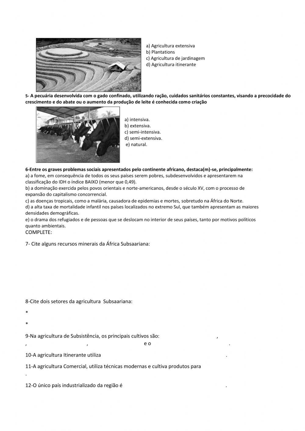 Economia da África Subsaariana