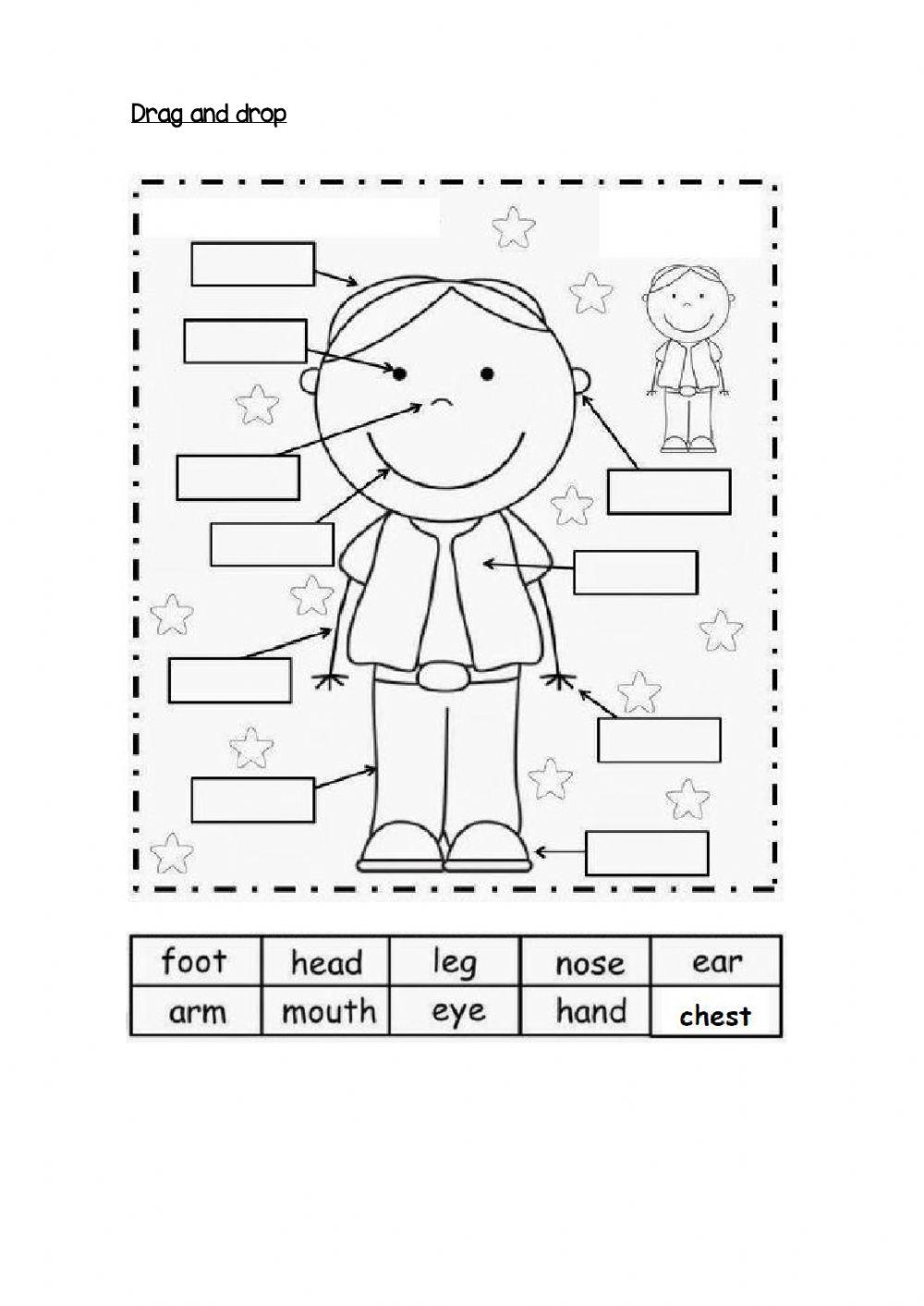body-parts-online-exercise-for-1-st-grade-live-worksheets