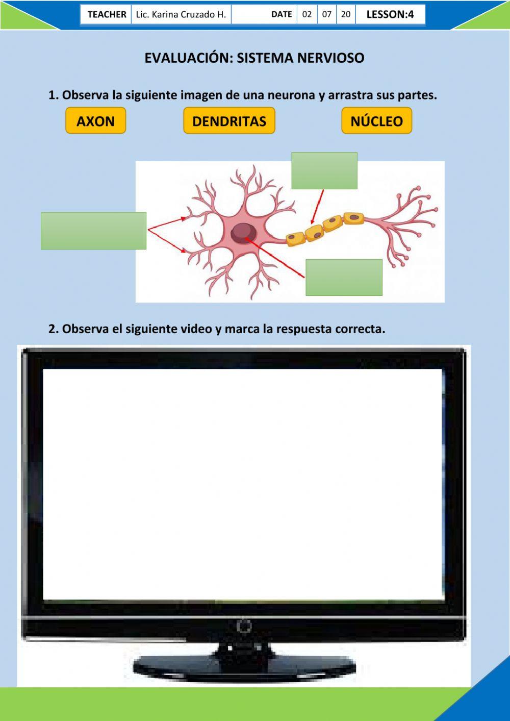Eval. Sistema Nervioso