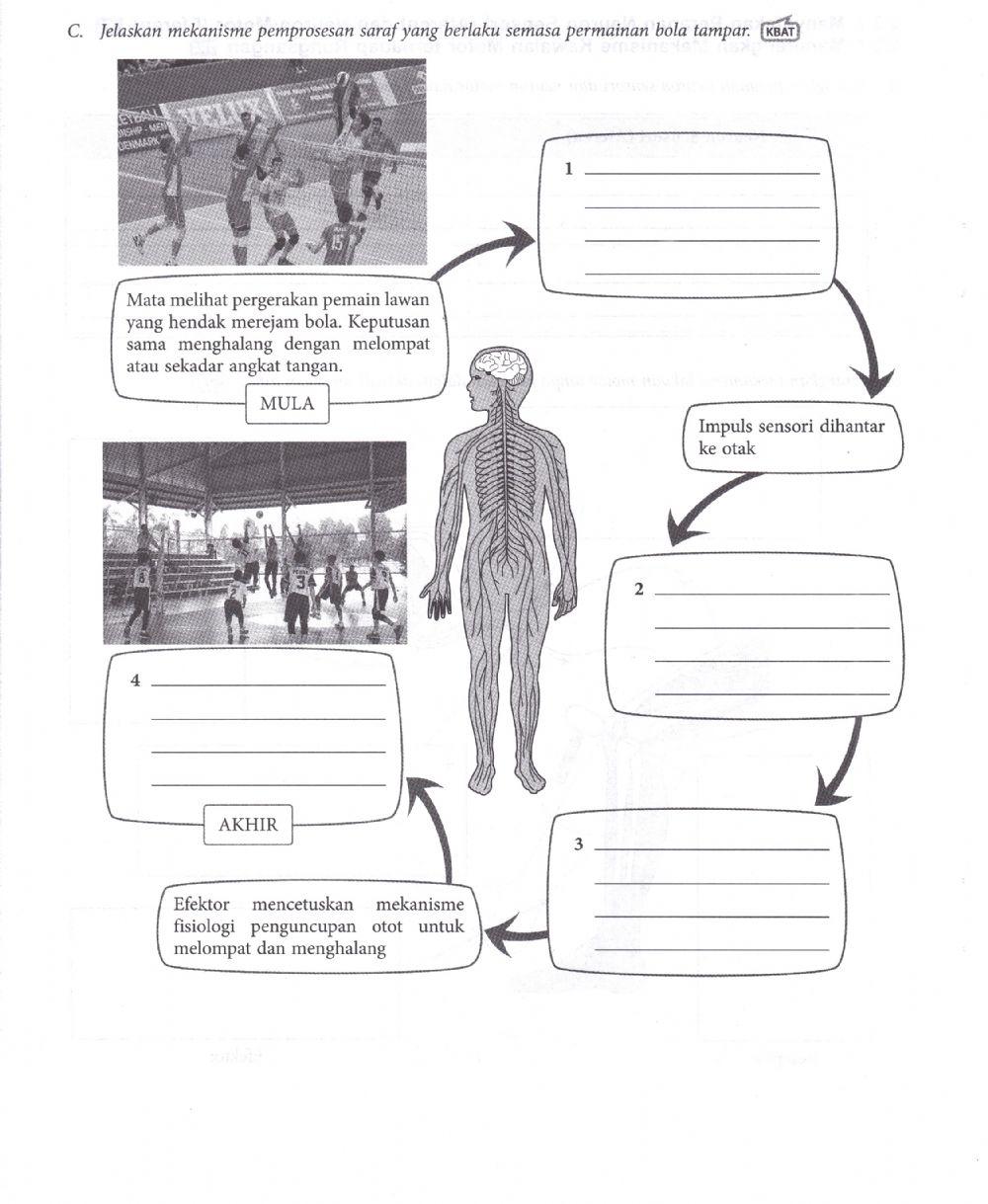 Sains sukan bidang 2