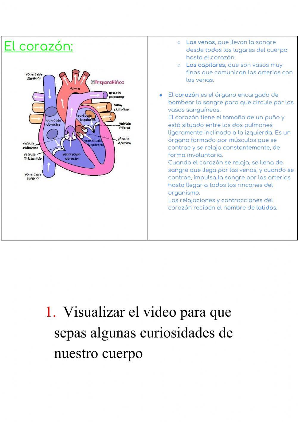 Tarea 1 Todo corazón